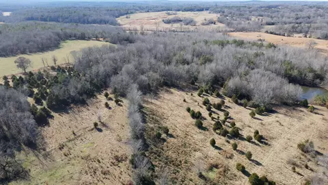 0 Pearl Ln, Grand Junction, TN 38039