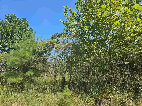 0 Hubanks Rd, Finger, TN 38334