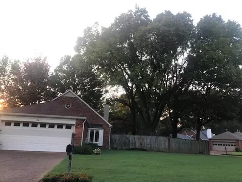 3107 St Regis Cv, Memphis, TN 38119