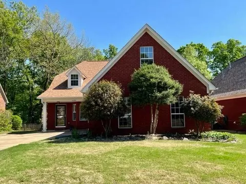 3696 Shelby Cv, Hernando, MS 38632 photo 1