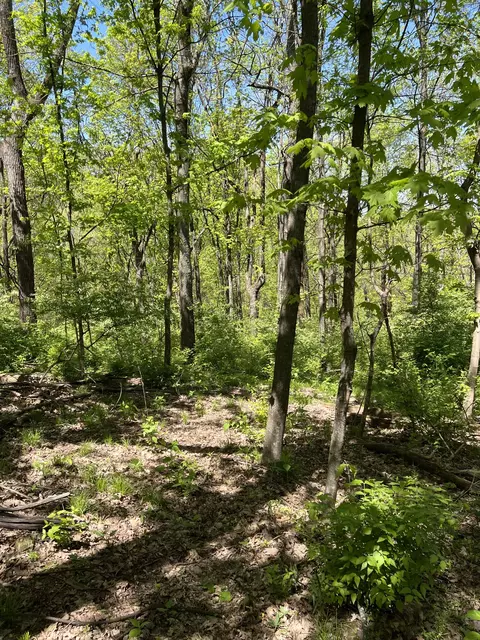 1305 Robert E Lee Ln, Brentwood, TN 37027