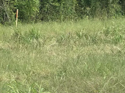 0 N Pitt Rd, Springfield, TN 37172 photo 3