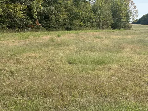 0 N Pitt Rd, Springfield, TN 37172 photo 2