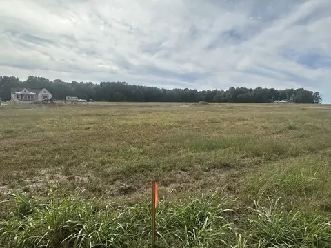 0 N Pitt Rd, Springfield, TN 37172 photo 4