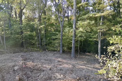 0 King Rd, Fairview, TN 37062