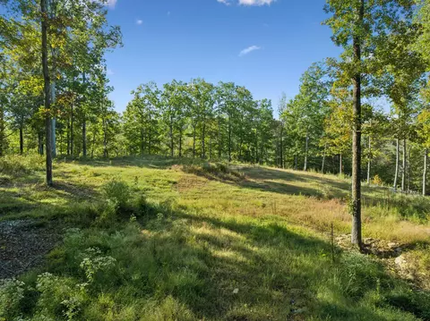 6017 Russell Ridge Ln, Franklin, TN 37064