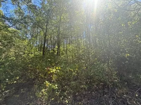 1 Track 1 Kendrick Rd, Michie, TN 38357