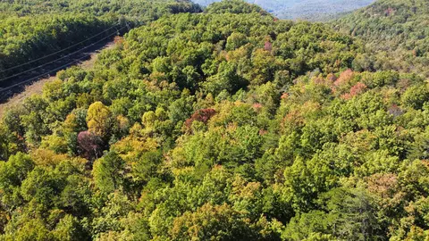 0 Johnson Pl N, Monterey, TN 38574