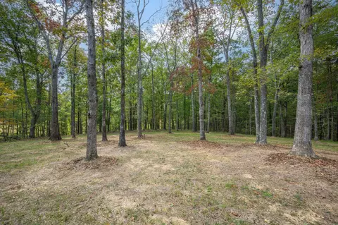 762 Billy Wynn Rd, Dickson, TN 37055 photo 32