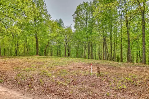 0 Rbk Ln, Bethpage, TN 37022 photo 12