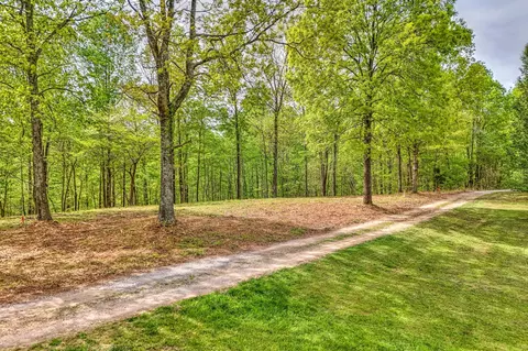 0 Rbk Ln, Bethpage, TN 37022 photo 9