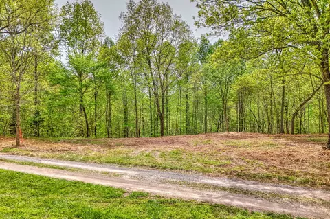 0 Rbk Ln, Bethpage, TN 37022 photo 8