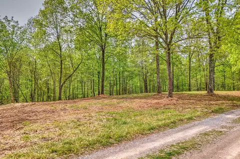 0 Rbk Ln, Bethpage, TN 37022 photo 13