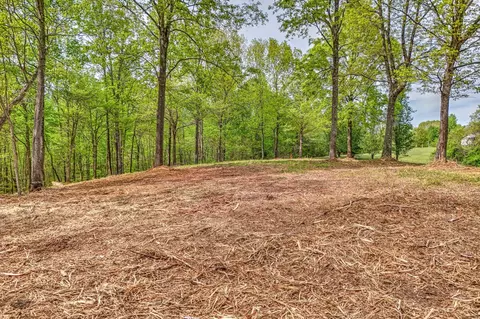 0 Rbk Ln, Bethpage, TN 37022 photo 5