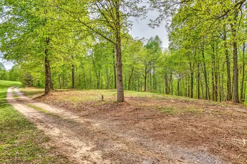 0 Rbk Ln, Bethpage, TN 37022 photo 10