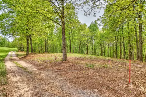 0 Rbk Ln, Bethpage, TN 37022 photo 11