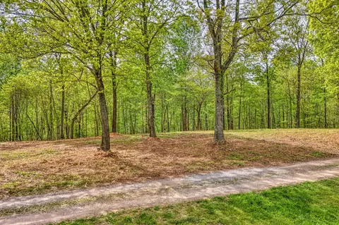 0 Rbk Ln, Bethpage, TN 37022 photo 7