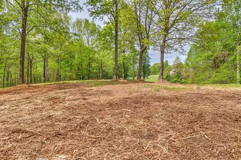 0 Rbk Ln, Bethpage, TN 37022 photo 6