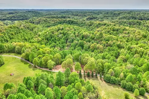 0 Rbk Ln, Bethpage, TN 37022 photo 15