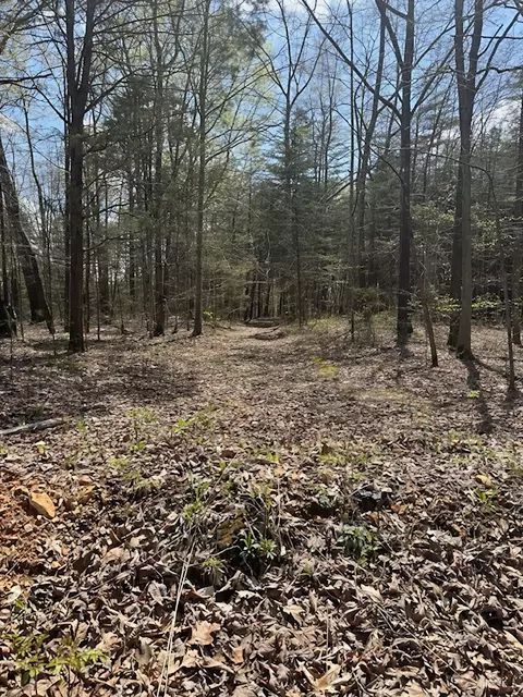 3601 Bowker Rd, Charlotte, TN 37036