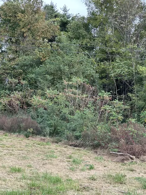 0 Nannie South Ln, Mcminnville, TN 37110