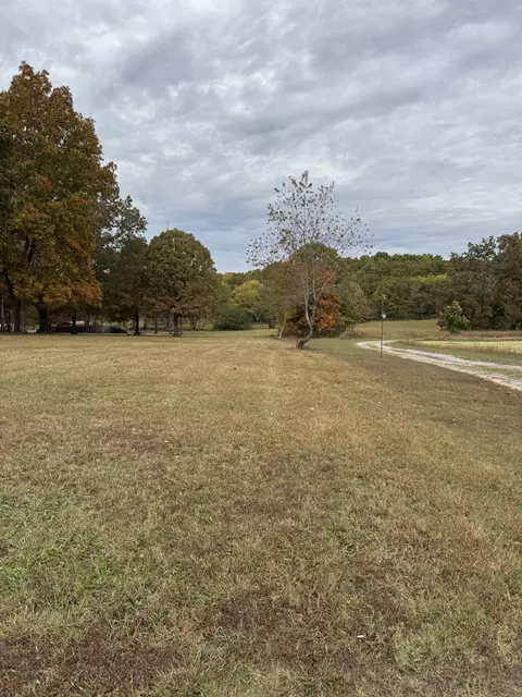7204 Sweetbriar Ln, Fairview, TN 37062 photo 5