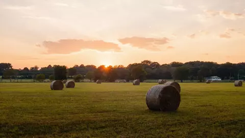 0 Gilliam Rd, Gurley, AL 35748