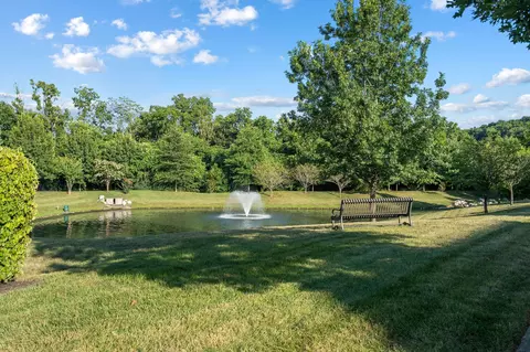 View/Area - 4031 Oglethorpe Dr, Franklin, TN 37064 photo 4 of 5
