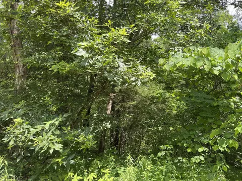 251 Rock Creek Dr, Old Fort, TN 37362