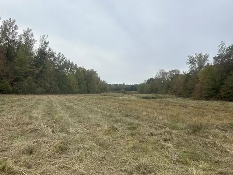 0 Clifford Hicks Rd, Camden, TN 38320