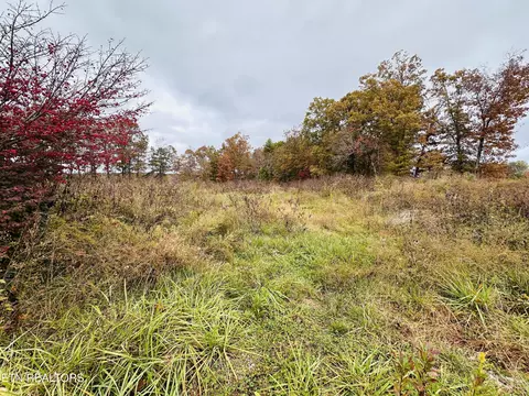 414 Nashville Hwy, Deer Lodge, TN 37726