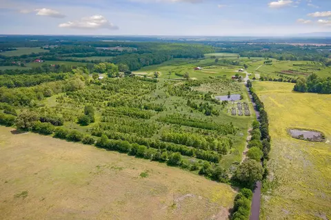 View/Area - 1051 Herman Lance Rd, Morrison, TN 37357 photo 1 of 18