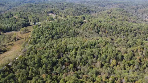 1 Ward Ln, Bethpage, TN 37022 photo 8