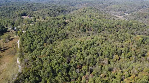 1 Ward Ln, Bethpage, TN 37022 photo 7