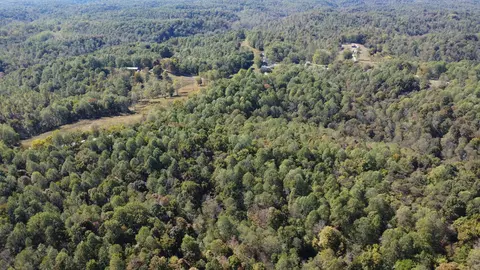 1 Ward Ln, Bethpage, TN 37022 photo 10