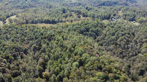 1 Ward Ln, Bethpage, TN 37022 photo 13