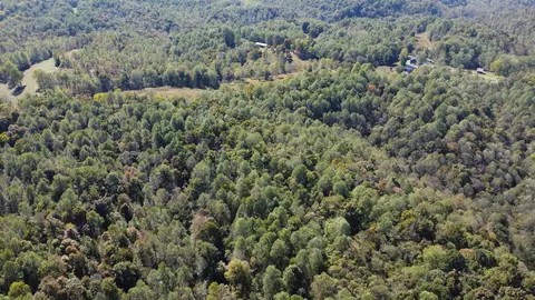1 Ward Ln, Bethpage, TN 37022 photo 12