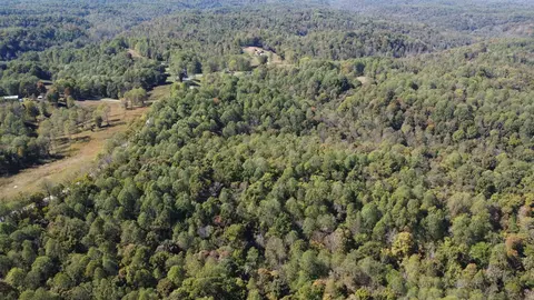 3 Ward Ln, Bethpage, TN 37022 photo 9