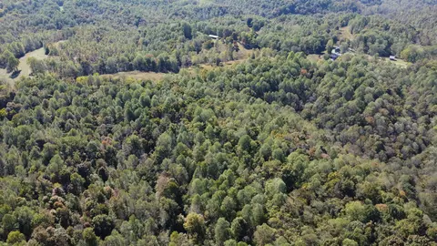 3 Ward Ln, Bethpage, TN 37022 photo 12