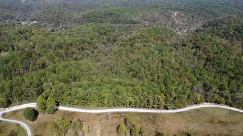 3 Ward Ln, Bethpage, TN 37022 photo 3