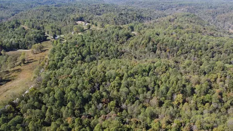 3 Ward Ln, Bethpage, TN 37022 photo 8
