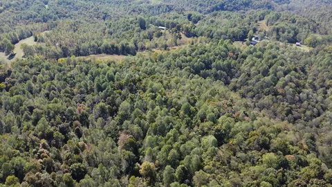 4 Ward Ln, Bethpage, TN 37022 photo 12