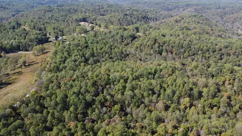 4 Ward Ln, Bethpage, TN 37022 photo 8