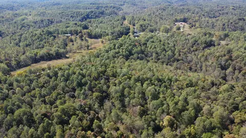 4 Ward Ln, Bethpage, TN 37022 photo 10