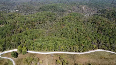 4 Ward Ln, Bethpage, TN 37022 photo 3