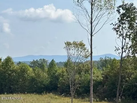 0 Otis Davis Rd, Pikeville, TN 37367
