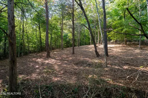 358 Valley Dr, Loudon, TN 37774