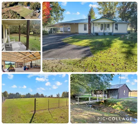 16829 David Crockett Pkwy W, Elora, TN 37328