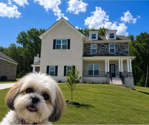 622 Spring Hill Dr #LOT 5, Smyrna, TN 37167