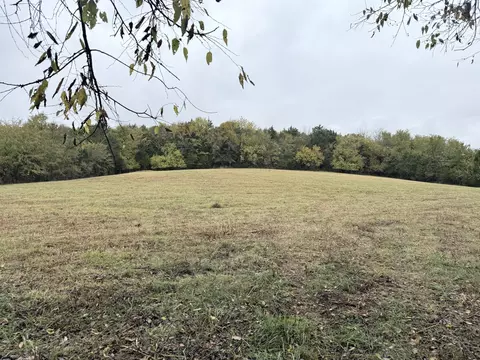302 Holmes Gap Rd, Alexandria, TN 37012